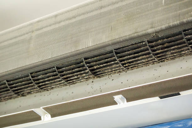 Best Commercial Air Duct Cleaning  in Travilah, MD